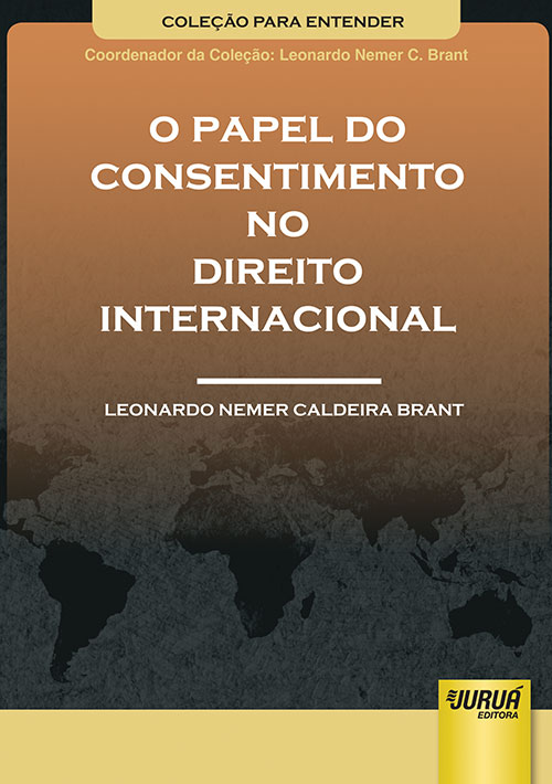 Professor da UFMG é eleito para Corte de Haia, principal órgão jurídico da  ONU