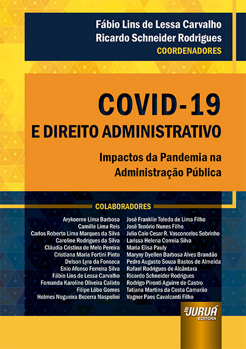 Repercussões da Pandemia Covid-19 no Direito Brasileiro
