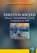 Capa do livro: Direitos Sociais - Eficcia e Acionabilidade  Luz da Constituio de 1988, Alessandra Gotti Bontempo