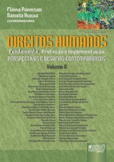 Capa do livro: Direitos Humanos - Volume II, Coordenadoras: Flvia Piovesan e Daniela Ikawa