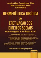 Capa do livro: Hermenêutica Jurídica & Efetivação dos Direitos Sociais, Coordenadores: Jéssica Aline Caparica da Silva e Marcos Ehrhardt Júnior