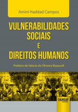 Capa do livro: Vulnerabilidades Sociais e Direitos Humanos - Prefácio de Valerio de Oliveira Mazzuoli, Amini Haddad Campos