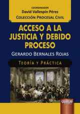 Capa do livro: Acceso a la Justicia y Debido Proceso - Teora y Prctica - Coleccin Procesal Civil  Coordinador: David Vallespn Prez, Gerardo Bernales Rojas