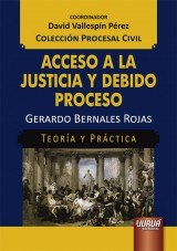 Capa do livro: Acceso a la Justicia y Debido Proceso - Teora y Prctica, Gerardo Bernales Rojas