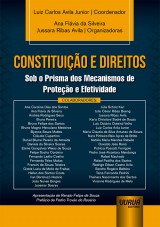 Capa do livro: Constituição e Direitos, Coordenador: Luiz Carlos Avila Junior – Organizadoras: Ana Flávia da Silveira e Jussara Ribas Avila