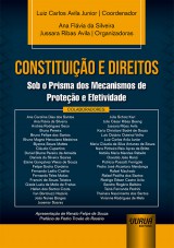 Capa do livro: Constituio e Direitos - Sob o Prisma dos Mecanismos de Proteo e Efetividade, Coordenador: Luiz Carlos Avila Junior  Organizadoras: Ana Flvia da Silveira e Jussara Ribas Avila